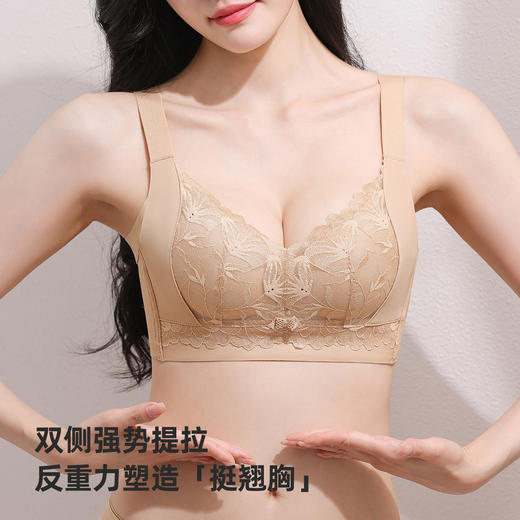 雅黛俪女士文胸小胸聚拢显大调整型内衣性感蕾丝2026年新款春季 商品图5