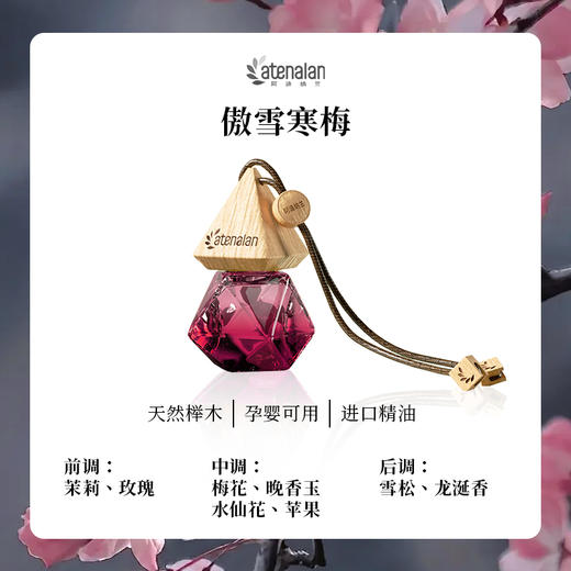 阿迪纳兰车载香薰10ML 酒店禅茶挂件车内香水清新汽车白茶桂花香氛 商品图1