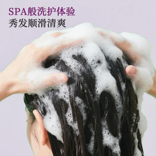 【头皮清爽不闹心】清大博士又又叒出手了！植物复合氨基酸洗发水 专研三层净润 洗发无烦恼 商品图2