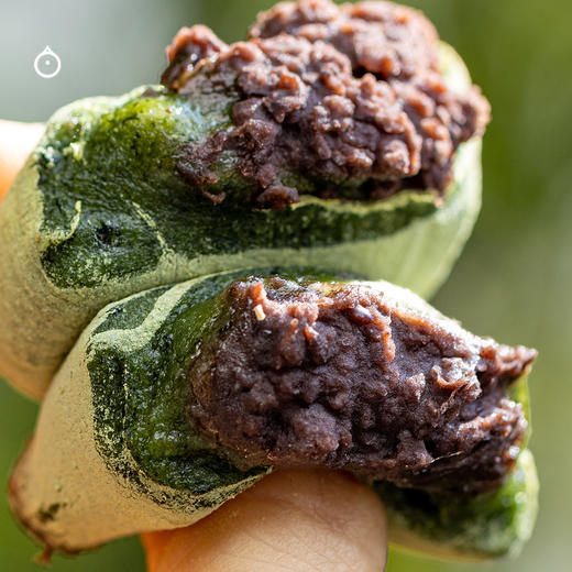 【仅限江浙沪皖拍】企鹅市集|宁波艾草青团 采用当季鲜艾草手工制作 红豆/黄豆/黑芝麻馅料 商品图0