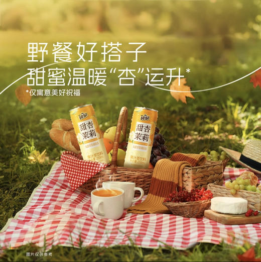 大甜杏茉莉绿茶 商品图0