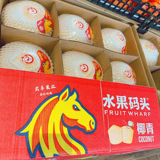 【宏丰精选】泰国椰青   泰国进口新鲜椰青 需要开口备注留言好  活动价9.9一个 商品图1