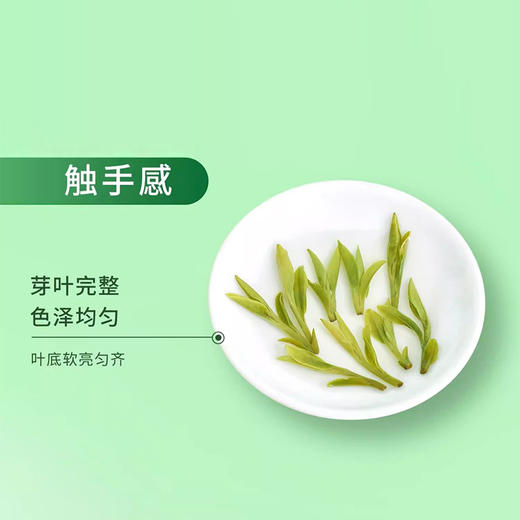 素言茶坊~高山流水头采龙井400克 商品图4