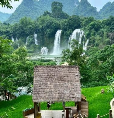 五一丨【5天4晚】5天4晚｜崇左+钦州亲子游｜横跨中越边境，探秘限定雨林，寻珍稀叶猴，追中华白海豚！ 商品图1