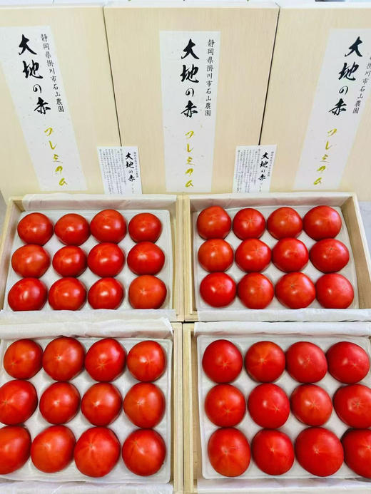 静冈石山农园 大地赤高糖番茄 商品图2