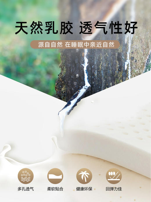 慕思（de RUCCI）薄床垫 乳胶床垫单人宿舍薄垫防螨榻榻米床褥垫 租房专用乳胶垫 5cm厚/三防海绵乳胶款-MCW1-079 1.2*1.9米学生床 商品图1