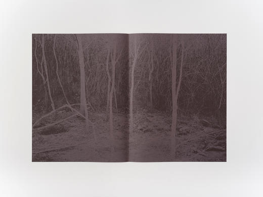 2026世界最美的书-诗山河考 商品图9