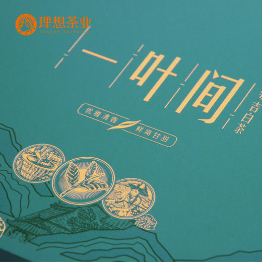 一叶间·安吉白茶2200 商品图5