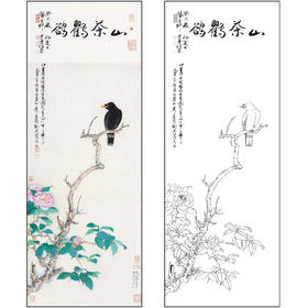 谢稚柳花鸟工笔画白描底稿《山茶鸜鹆》临摹勾线高清打印稿XZ48