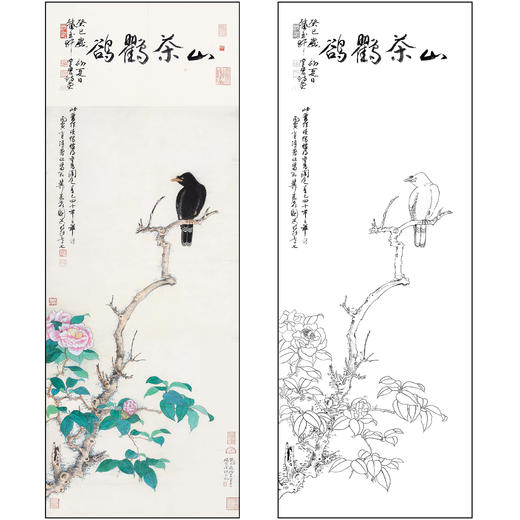 谢稚柳花鸟工笔画白描底稿《山茶鸜鹆》临摹勾线高清打印稿XZ48 商品图0