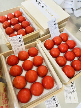 静冈石山农园 大地赤高糖番茄