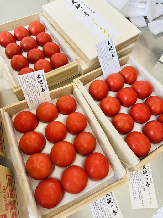 静冈石山农园 大地赤高糖番茄 商品图0