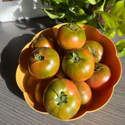 宁夏闽宁镇铁皮柿子 | 沙土地种植 自然挂果成熟 脆甜爆汁 儿时老味道番茄 青肩越鲜亮 果香越浓郁 现摘先发 商品图6