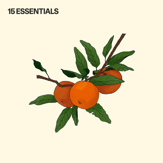 15 ESSENTIALS 红橘精油(红橘精油10ml+身体润肤油120ml*2) 商品图3