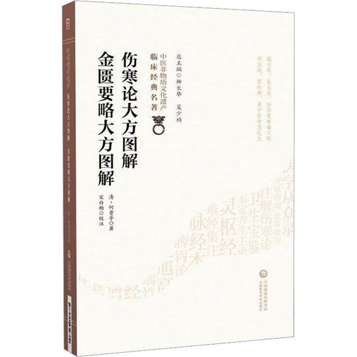 伤寒论大方图解 金匮要略大方图解（中医非物质文化遗产临床经典名著） 商品图0