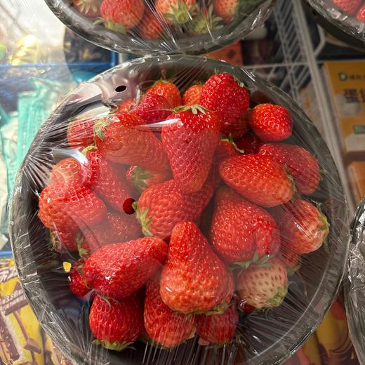 草莓二斤大/盆 商品图0