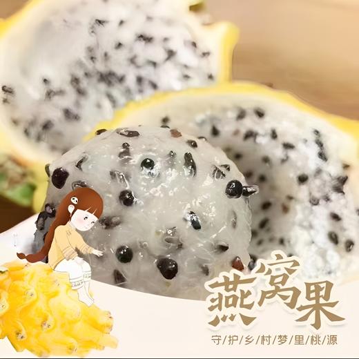 果岭菁礼 海南燕窝果现摘现发香甜多汁果肉细腻水果送礼礼盒 顺丰包邮 商品图0