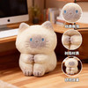 猫猫PAI情绪开演盲盒-纪念日百货门店同款169296871 商品缩略图2