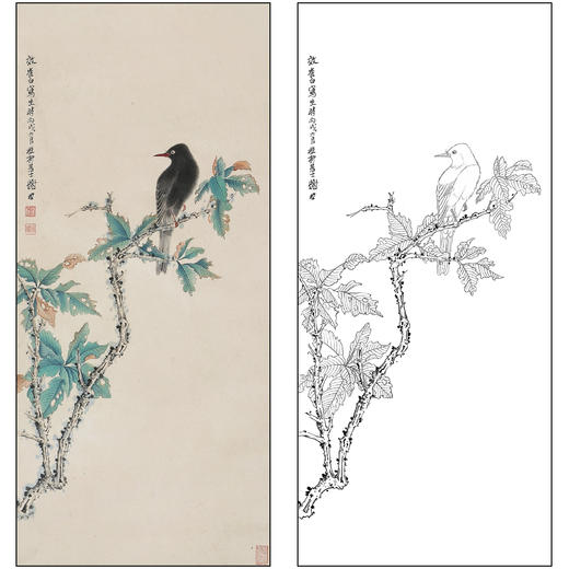 谢稚柳花鸟工笔画白描底稿《花鸟》临摹勾线高清打印稿XZ47 商品图0