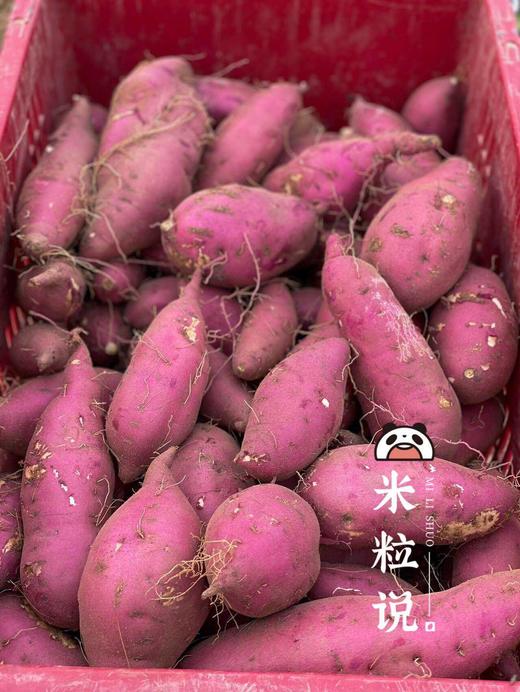 【桥头地瓜/鸣门金时地瓜】地瓜界的实力派，鸣门金时地瓜~桥头地瓜的升级品，口感细腻，无纤维，香甜软糯，板栗香味 CC 商品图3