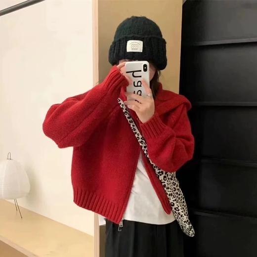 多色连帽双拉链基本款毛衣开衫纪念日百货门店同款169453355 商品图3