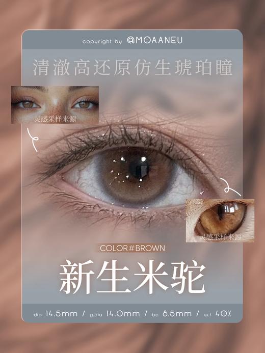 MoaaNeu·日抛合集  78一盒 148两盒 268四盒  下单四盒或以上即加赠定轴半年抛一副！显色度和融瞳效果都很棒！国产0-800度<一盒10片> 商品图6