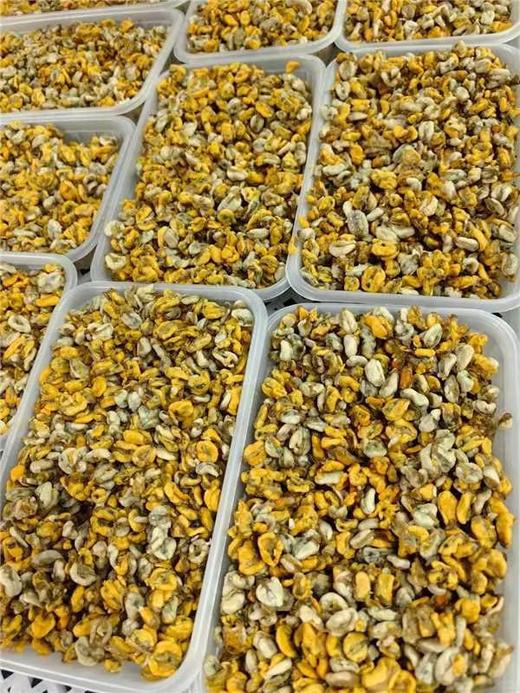 【免处理 纯肉手工现挖】 新鲜海瓜子肉 不用吐沙、不用剥壳颗颗饱满，鲜味锁在肉里，爆炒辣椒葱段、炒饭…怎么煮都美味活冻 商品图0