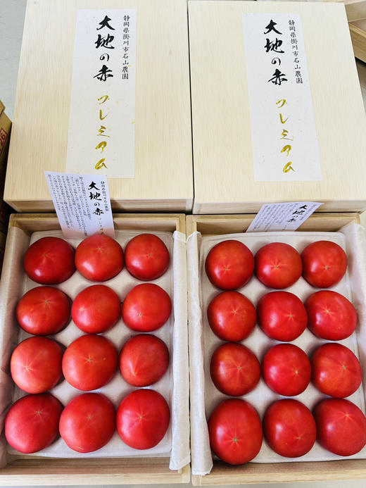 静冈石山农园 大地赤高糖番茄 商品图4