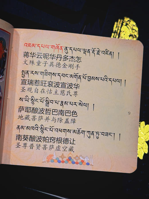 随身口袋本皮套二十一度母赞文化纪念卧室家用精装绿色便携式 商品图6