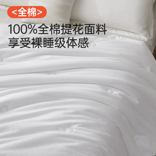 全棉抗菌提花被 商品图1