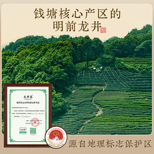 紫禁文创旗下 宫享御露·龙井茶 明前龙井 早春头茬 特级新茶 地标产品 商品图1