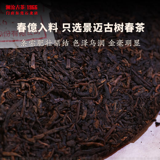澜沧古茶2026年第13代0085大饼普洱茶熟茶云南茶叶景迈古树饼茶 商品图2