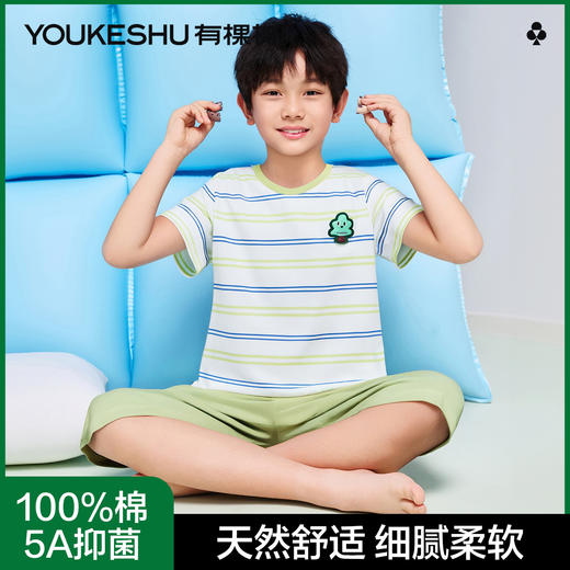 【清仓捡漏】【5A抑菌 100%棉】【120-150】【有棵树】男童夏季纯棉睡衣套装 商品图3