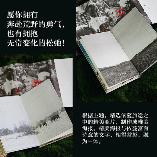 【特装版】荒野寻马 真正的自由 是允许自己成为一粒雪 商品图2