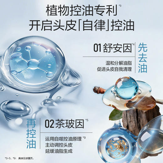 [王一博推荐] 天然香全新无硅油系列香氛洗发露400ml/618ml  祛屑控油蓬松 商品图3