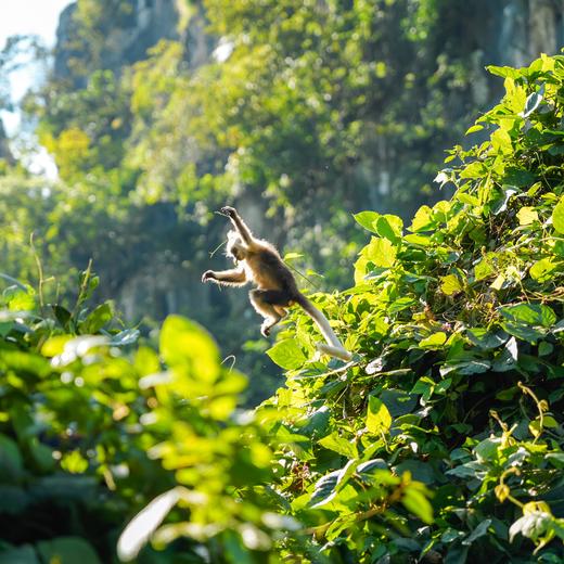 五一特期 | 何以岭南，在百越之地约会神奇生物【山海经】 5天4晚 商品图1