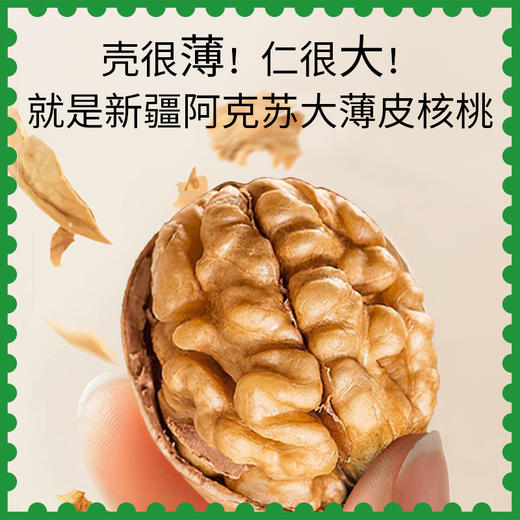 新疆阿克苏大薄皮核桃 350g/包 疆果果 大坚果 商品图1