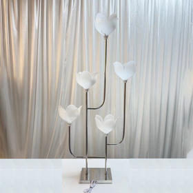 5头郁金暖枝路引（运费自理）