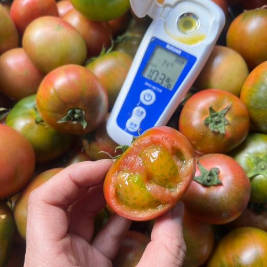 宁夏闽宁镇铁皮柿子 | 沙土地种植 自然挂果成熟 脆甜爆汁 儿时老味道番茄 青肩越鲜亮 果香越浓郁 现摘先发 商品图4