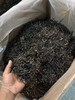 2026头春千年野生古树紫芽红茶 商品缩略图3