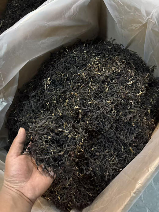 2026头春千年野生古树紫芽红茶 商品图3