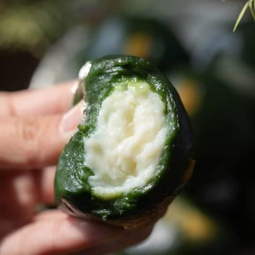 【糕酥精选】艾草嘟嘟手作青团 用野生艾草非青汁 现做现发 只卖30天的新鲜 短保无添加 清香扑鼻 软糯Q弹 闻得到的艾草清香 吃得出艾叶纤维 商品图4