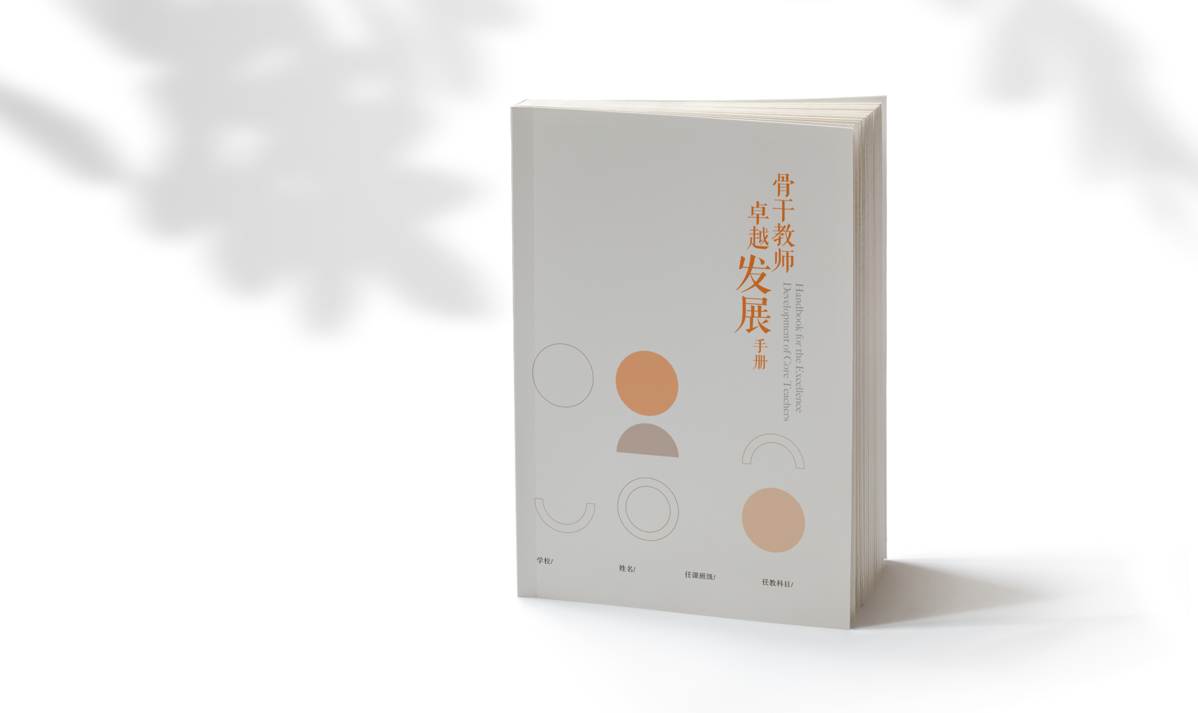 骨干教师卓越发展手册