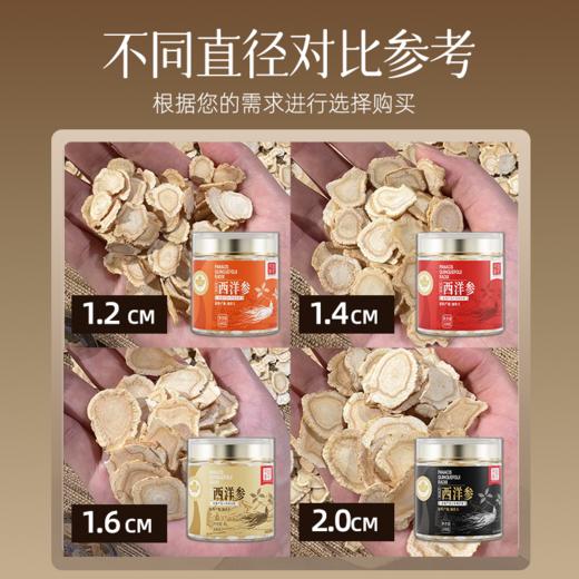 100g/罐 加拿大西洋参 多种规格可选 商品图1