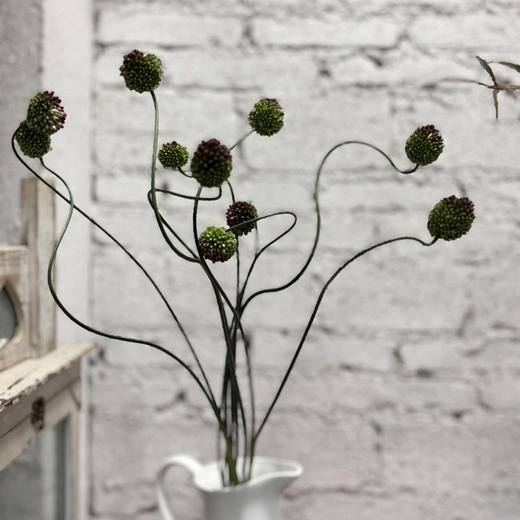 进口弯葱 商品图2