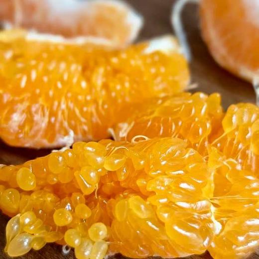 合作产品/丹棱生态耙耙柑 商品图2