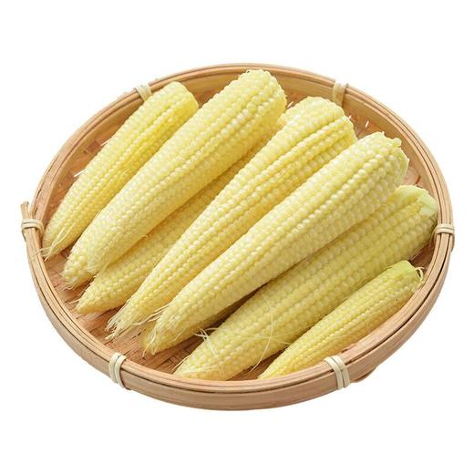 那云那南有机玉米笋200g 商品图2