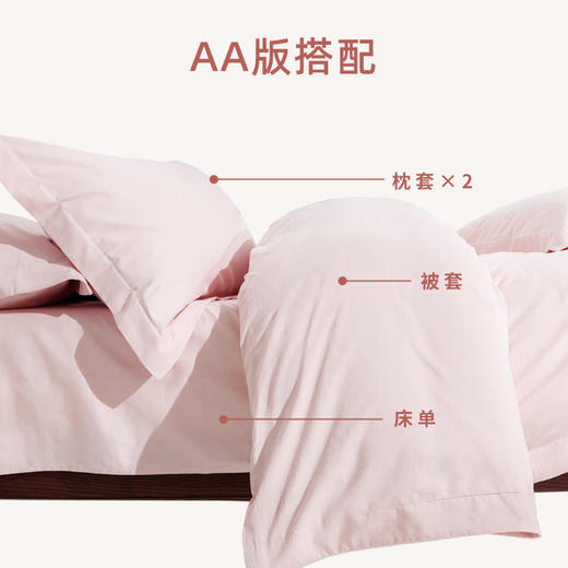 【代发】蓝铂定制成人四件套磨毛款/四季款100支全棉（此链接不可床单改床笠） 商品图3