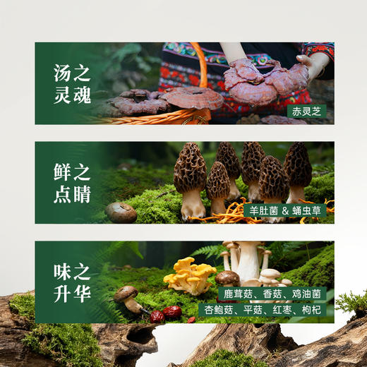 灵芝菌汤包 7种珍贵菌菇+红枣枸杞 药膳级营养（赤灵芝、羊肚菌、平菇、红枣、枸杞、杏鲍菇、鹿茸菇、香菇、鸡油菌、虫草花（蛹虫草）） 商品图1