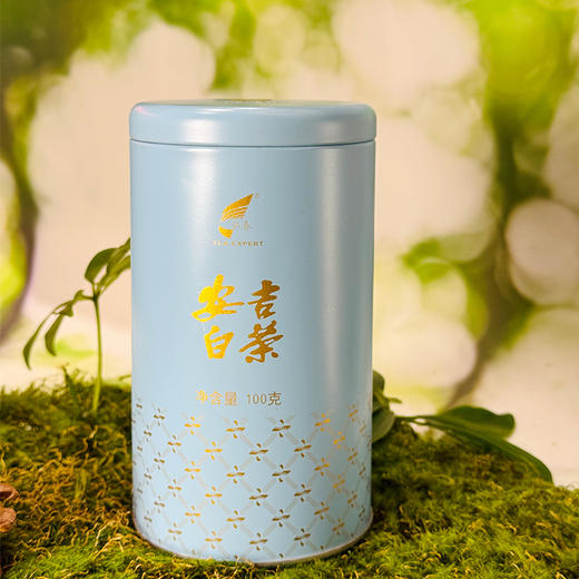 【口粮茶】罐装白茶 商品图0